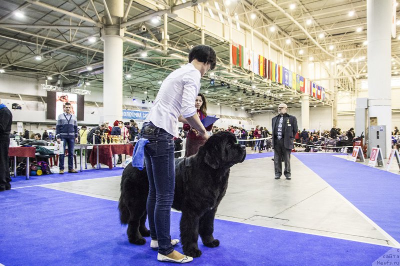 Фотография № 170795