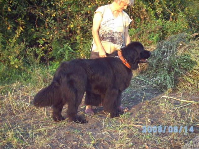 Фото: Юсуф-Паша, Любовь