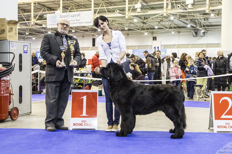 Фотография № 170800