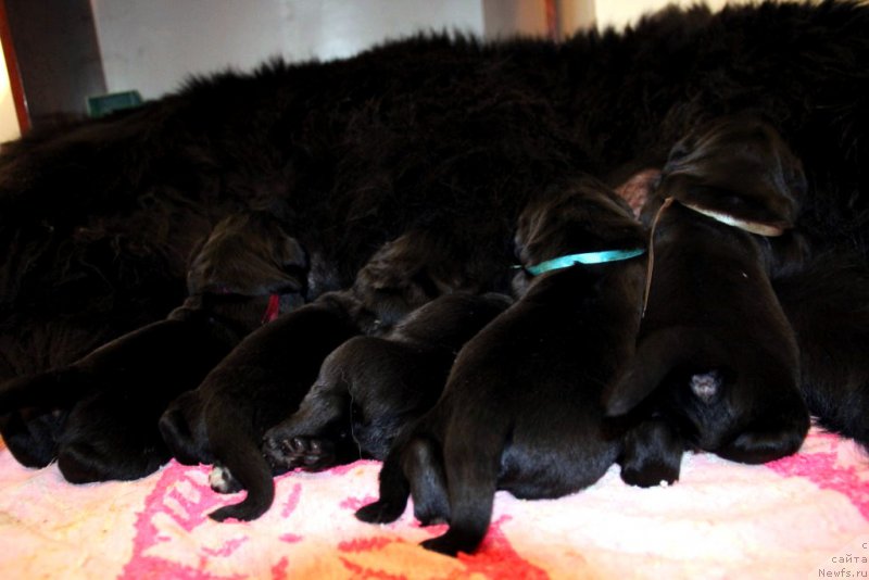 Фотография № 170835