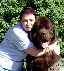 Фото: ньюфаундленд Super Premium Best Belzhen Regards (Супер Премиум Бест Бэлжен Ригардс)