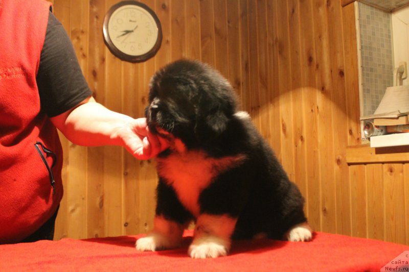 Фотография № 170840