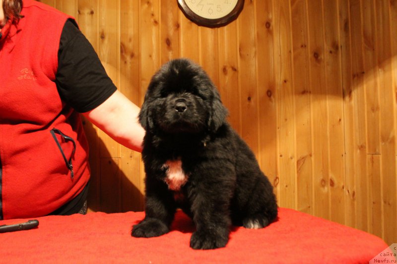 Фотография № 170847