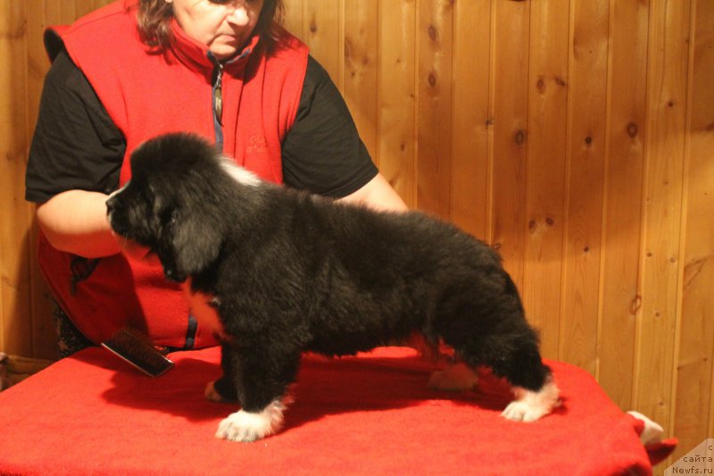 Фотография № 170849