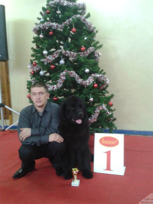 Фотография № 170858