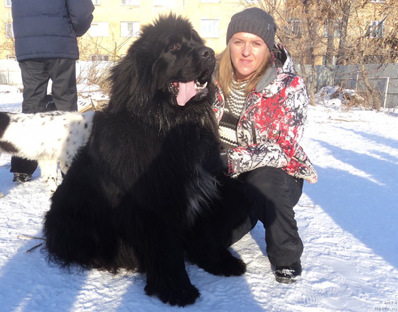 Фотография № 170870