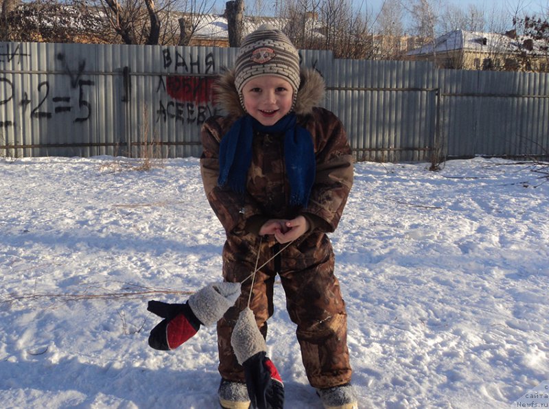 Фотография № 170878