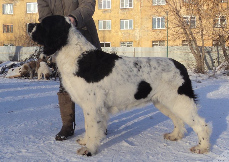 Фотография № 170879