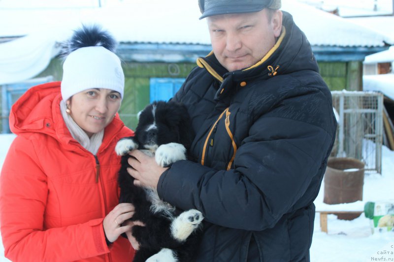 Фотография № 170882