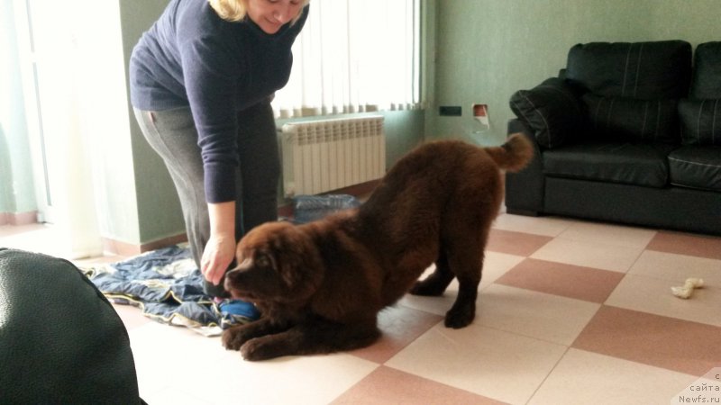 Фотография № 170888