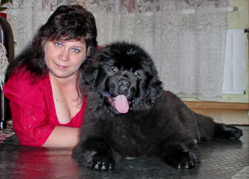 Фото: Valentina Voronec (Валентина Воронец), ньюфаундленд Al'fa Dar Oksa Avgustina (Альфа Дар Окса Августина)