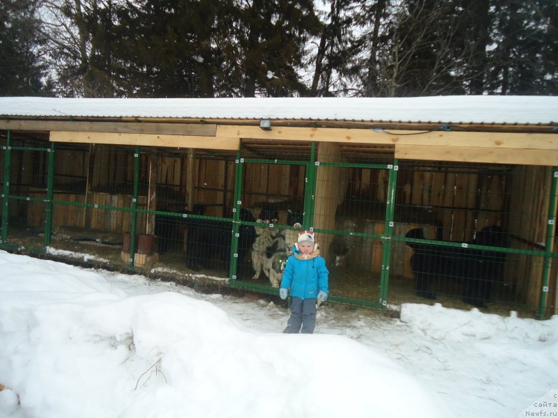 Фотография № 170928