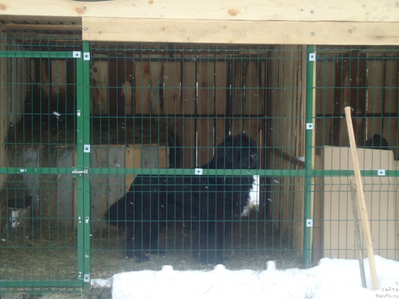 Фотография № 170930