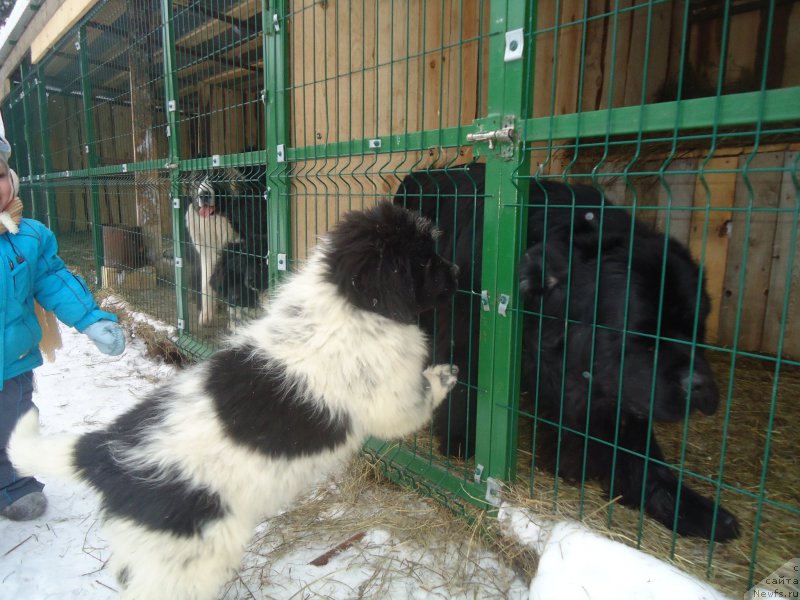 Фотография № 170934