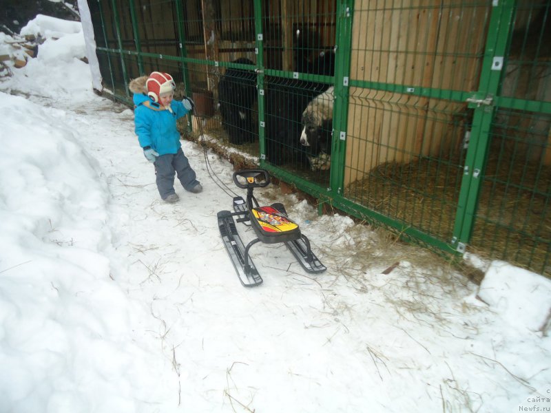 Фотография № 170935