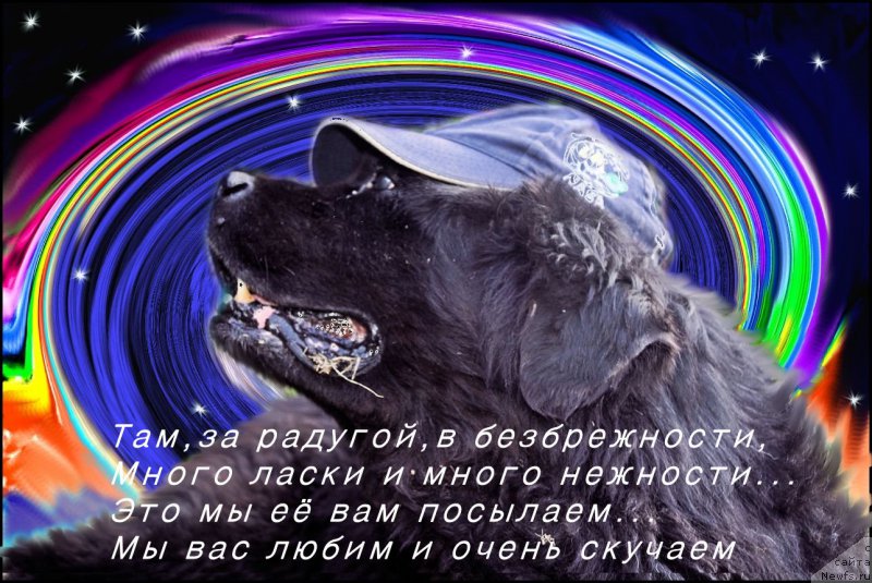 Фотография № 170938