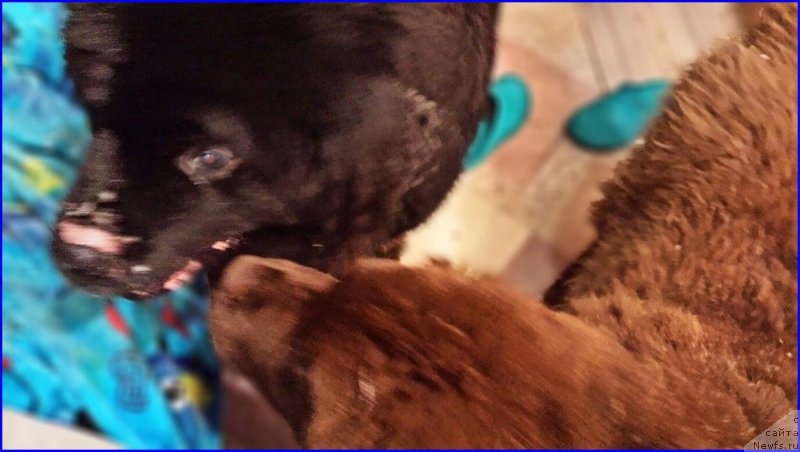 Фотография № 170946