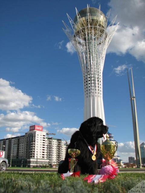 Фотография № 17098