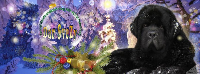 Фотография № 171075