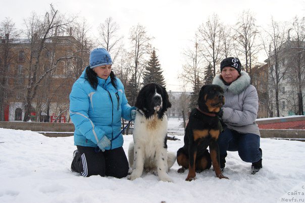 Фотография № 171079