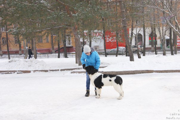 Фотография № 171081