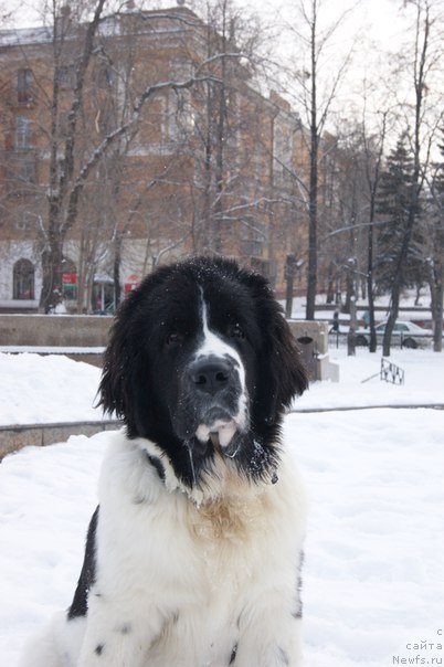 Фотография № 171090