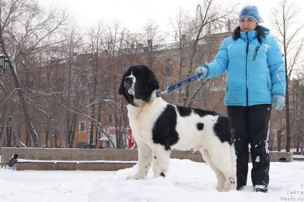 Фотография № 171091