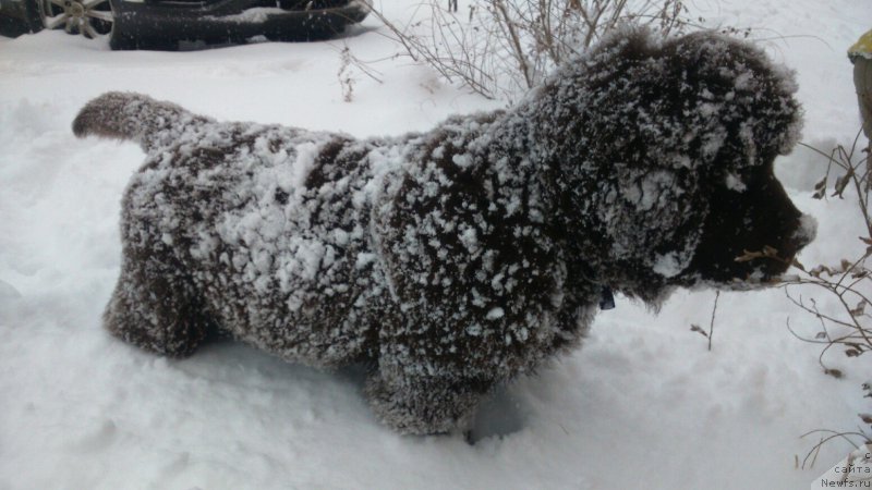 Фотография № 171095