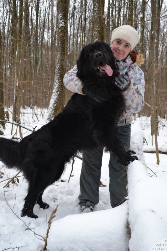 Фото: YUliya Vashkina (Юлия Вашкина)