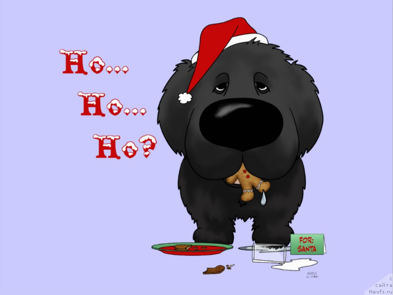 Фотография № 171167