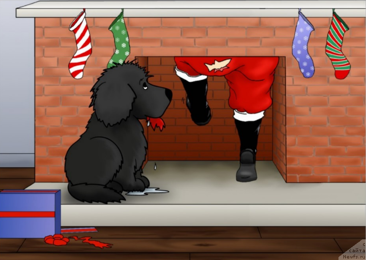 Фотография № 171170