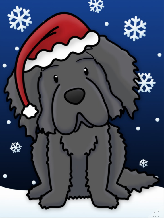 Фотография № 171172