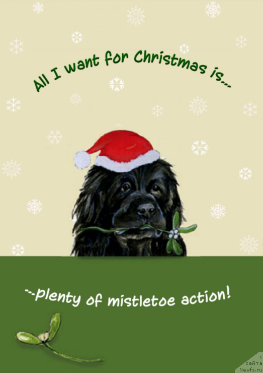 Фотография № 171173