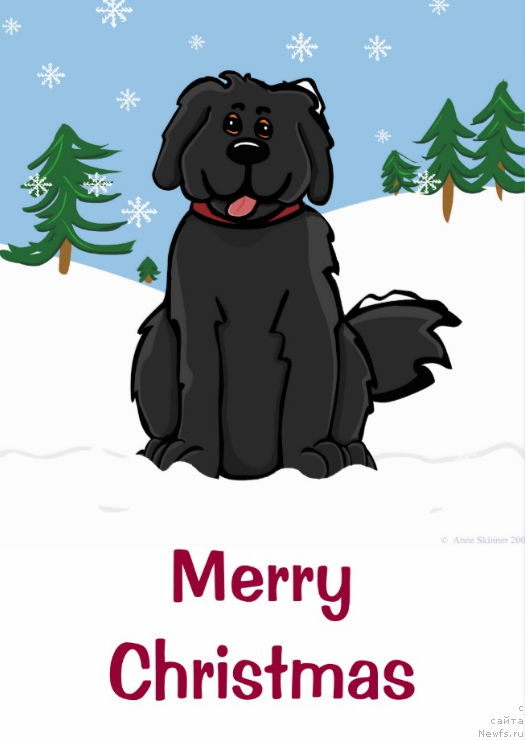 Фотография № 171175