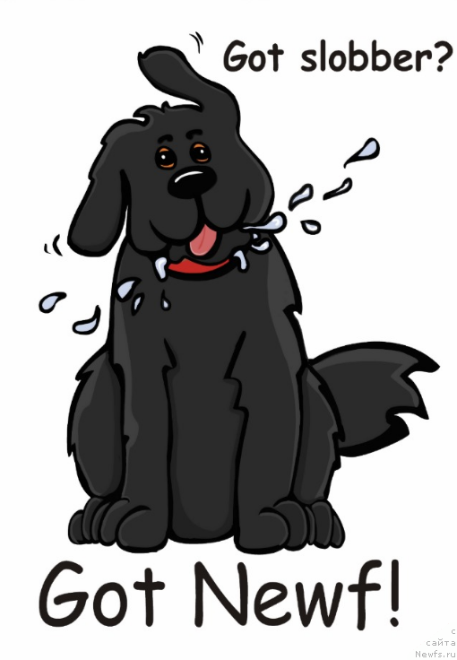 Фотография № 171177