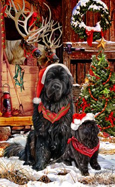 Фотография № 171179