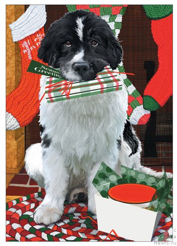 Фотография № 171180