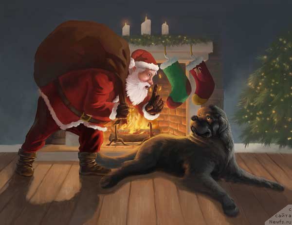 Фотография № 171181