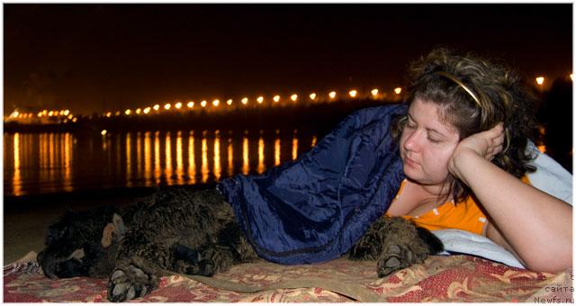 Фото: Алена, ньюфаундленд Super Premium Vashington (Супер Премиум Вашингтон)