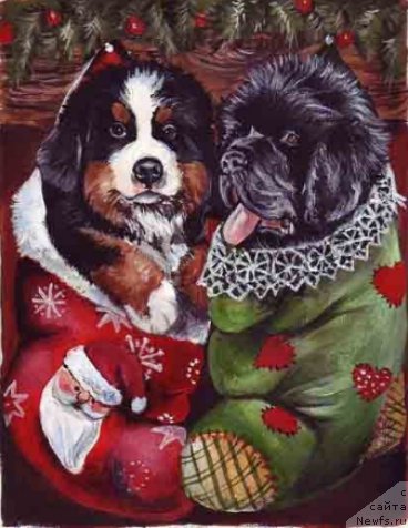 Фотография № 171199