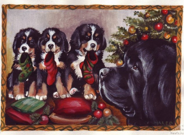 Фотография № 171204