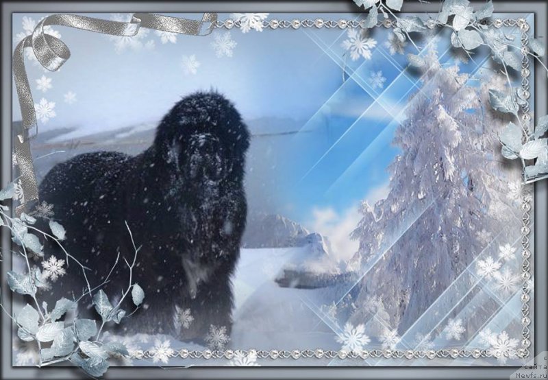 Фотография № 171207