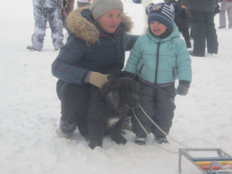Фото: Natal'ya Smazchikova (Наталья Смазчикова)