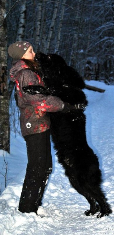 Фотография № 171290