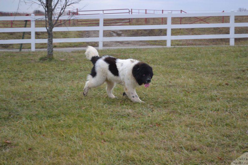 Фотография № 171302