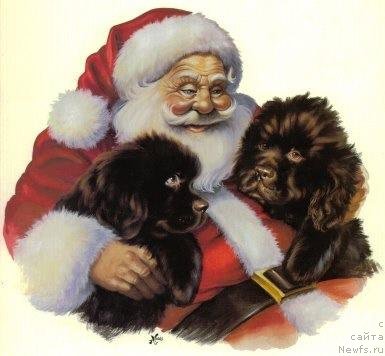 Фотография № 171303