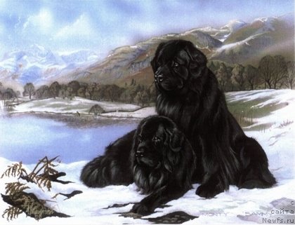 Фотография № 171305