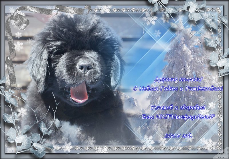 Фотография № 171309