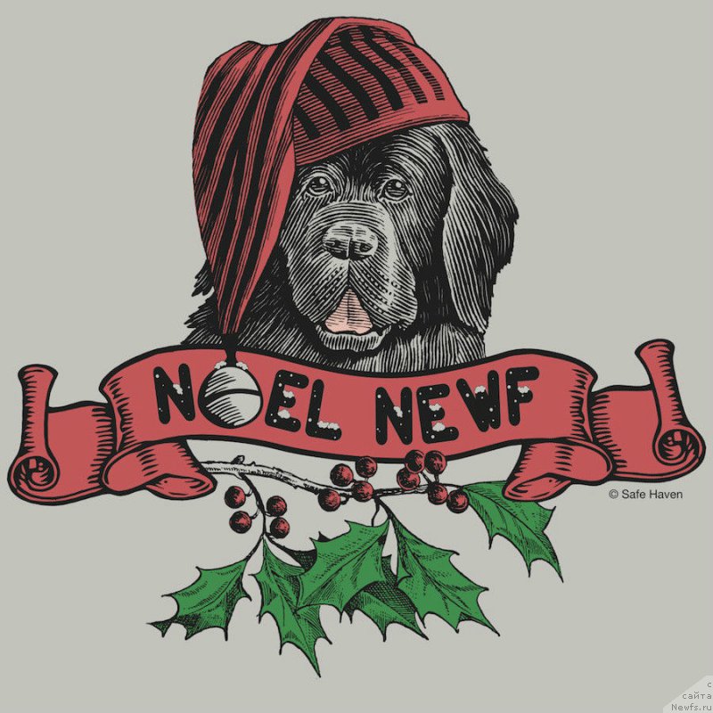 Фотография № 171457