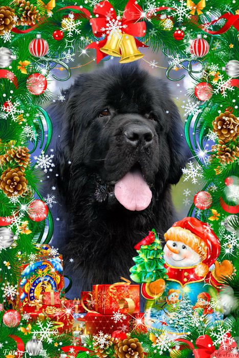 Фотография № 171472